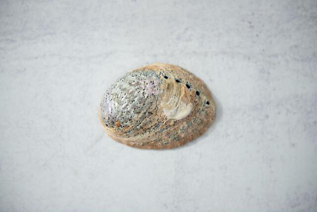 Thumbnail for original image