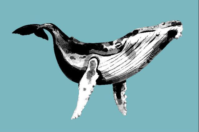Thumbnail for original image
