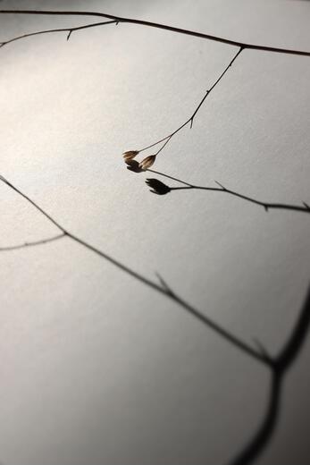 Thumbnail for original image