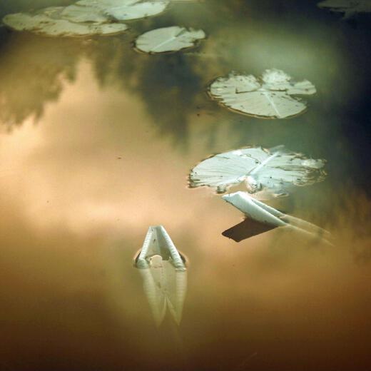 Thumbnail for original image