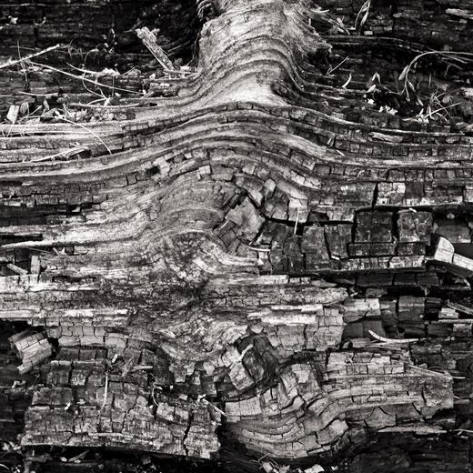 Thumbnail for original image