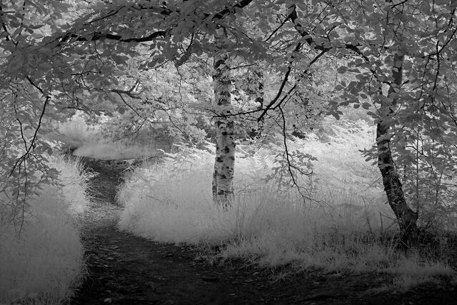 Thumbnail for original image