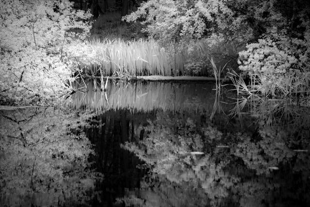Thumbnail for original image