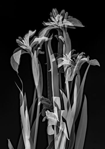 Thumbnail for original image