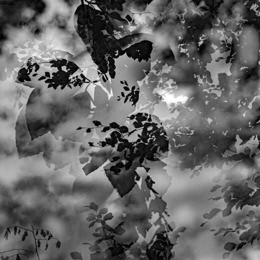Thumbnail for original image