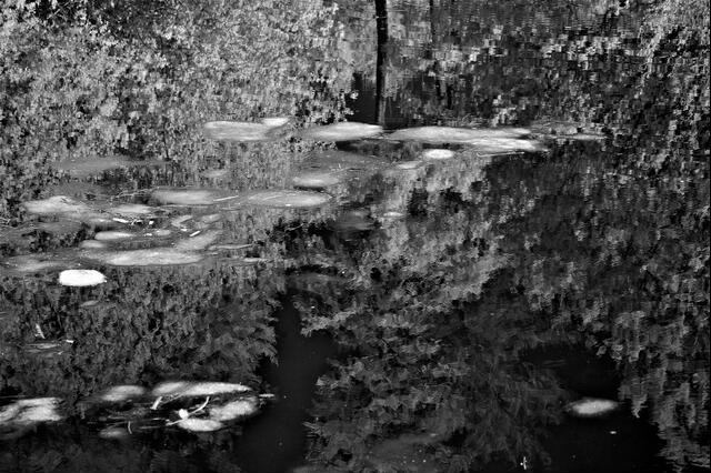 Thumbnail for original image