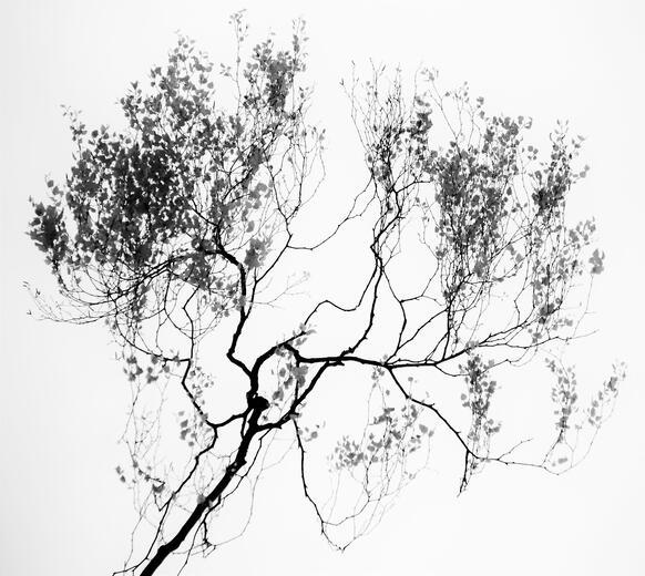 Thumbnail for original image