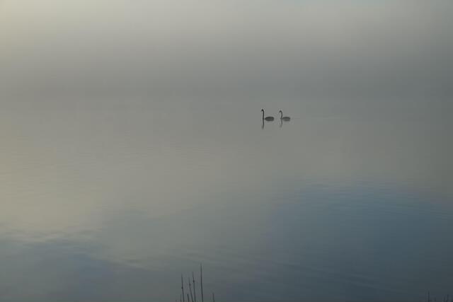 Thumbnail for original image