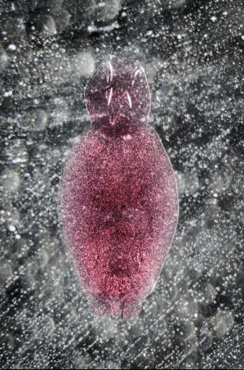 Thumbnail for original image