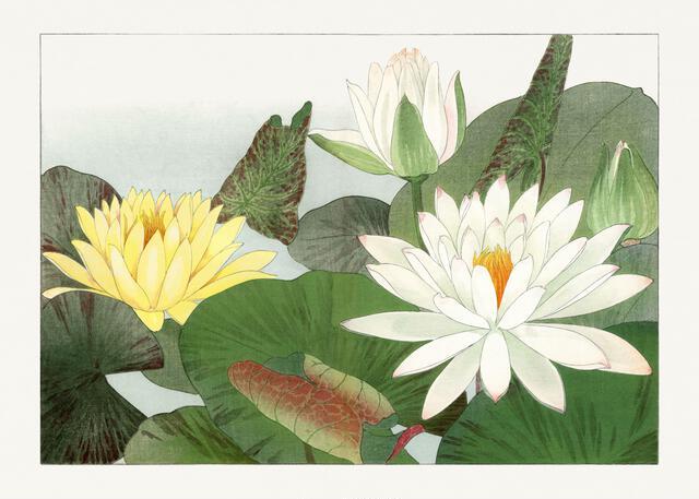Thumbnail for original image