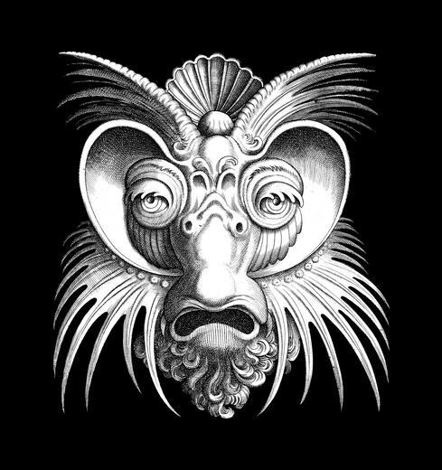 Thumbnail for original image