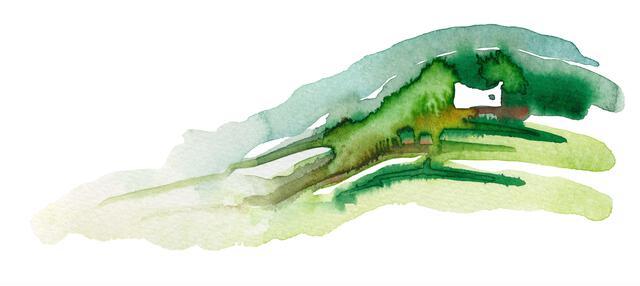 Thumbnail for original image