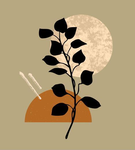 Thumbnail for original image