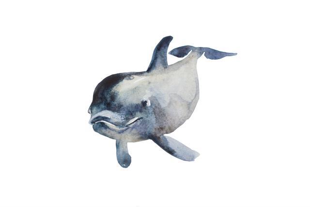 Thumbnail for original image