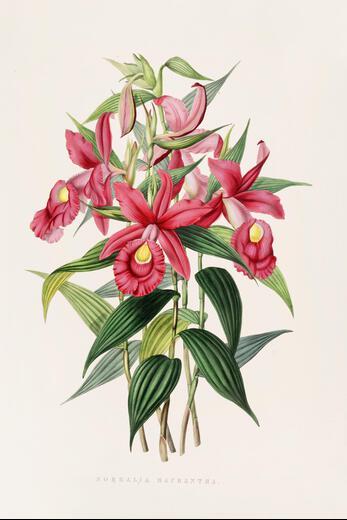 Thumbnail for original image