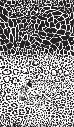 Thumbnail for original image