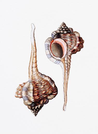 Thumbnail for original image