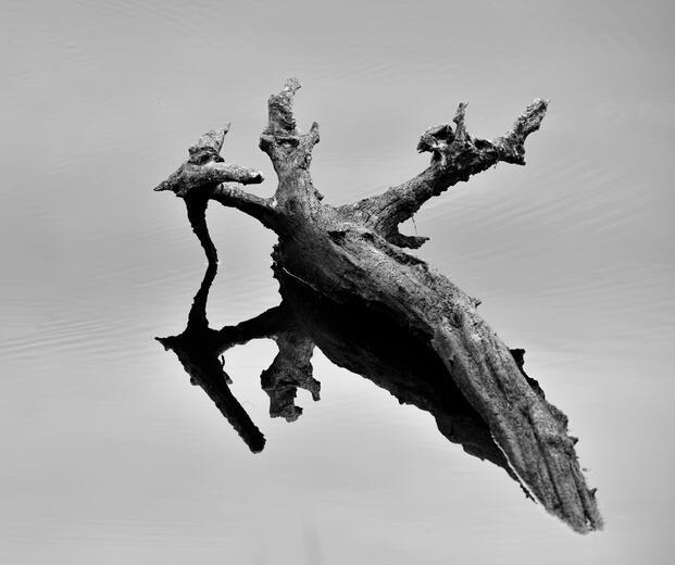 Thumbnail for original image