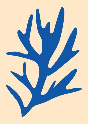 Thumbnail for original image