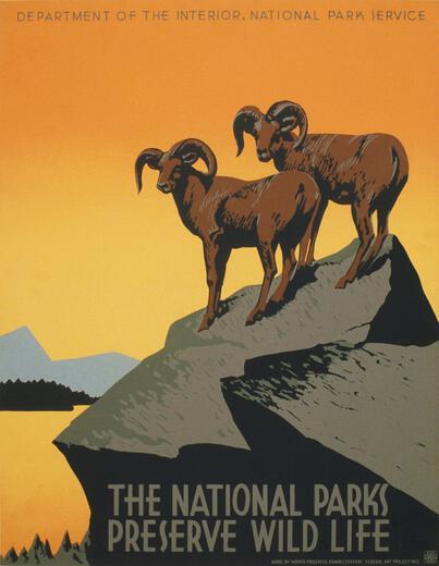 Thumbnail for original image