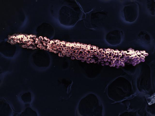 Thumbnail for original image