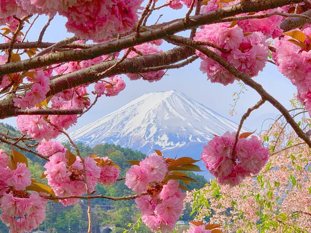 Thumbnail for original image