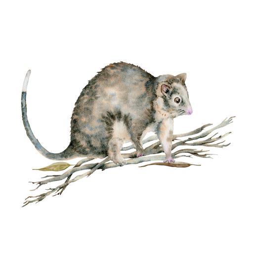 Thumbnail for original image