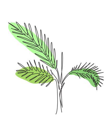 Thumbnail for original image