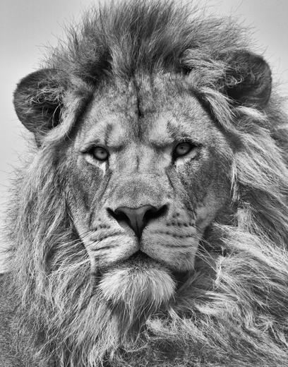 Thumbnail for original image