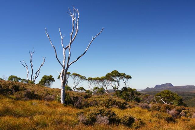 Thumbnail for original image