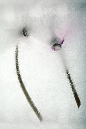 Thumbnail for original image