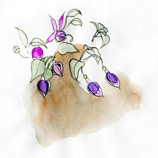 Thumbnail for original image