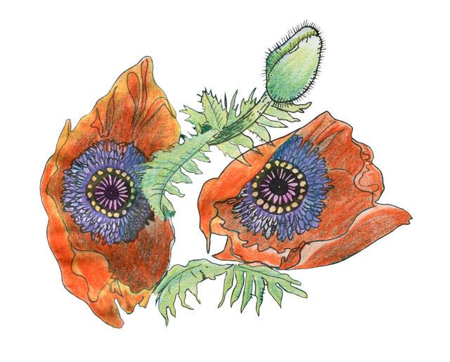 Thumbnail for original image