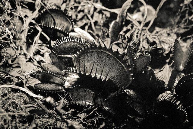 Thumbnail for original image